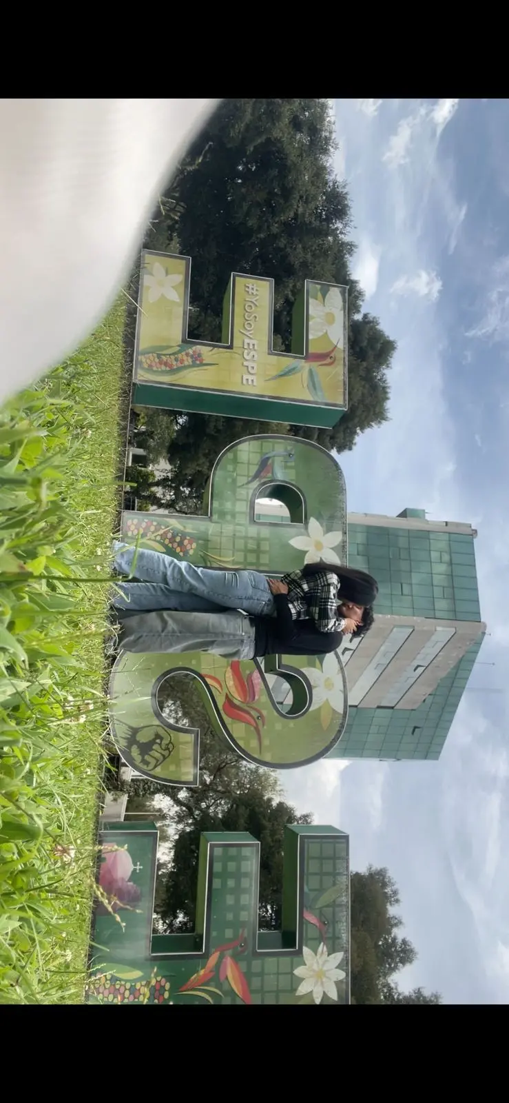 Cambia el cielo por una atardecer bonito pero no tan exajerado y sin tanto color